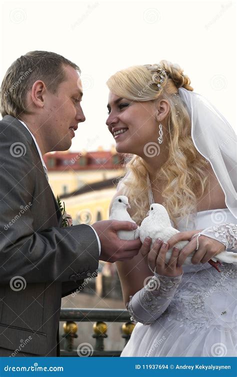 Bride And Bridegroom Stock Photo Image Of Groom Ceremony 11937694