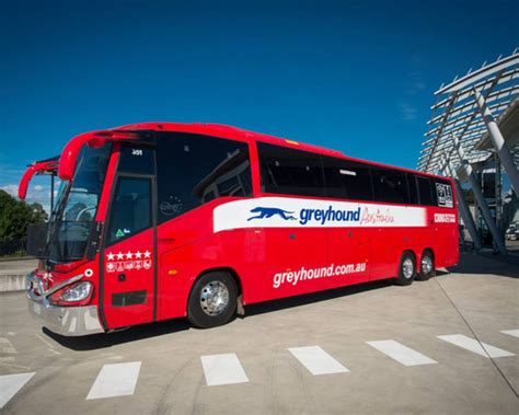 Sale Greyhound Australia Hop On Hop Off Bus Pass From Sydney 3