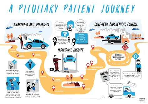 Patient Journey Illustration Infographic Health Healthcare