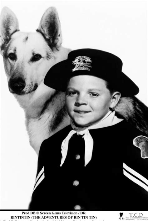 Lee Aaker Rusty And Rin Tin Tin Enfance Photo Vintage Chien Policier