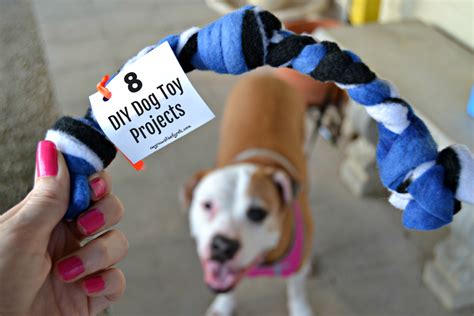 8 Diy Dog Toy Projects To Keep Your Dog Busy This Summer Pawsitively Pets