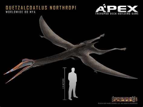 Quetzalcoatlus Northropi By Herschel Hoffmeyer On Deviantart