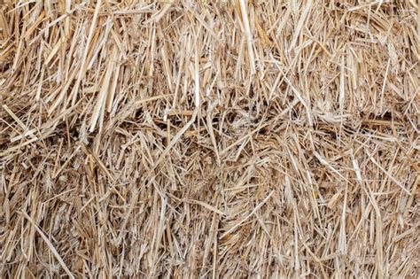 Premium Photo Dry Straw Stack As A Natural Background