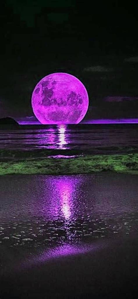 Purple Full Moon Beautiful Moon Nature Beautiful Nature