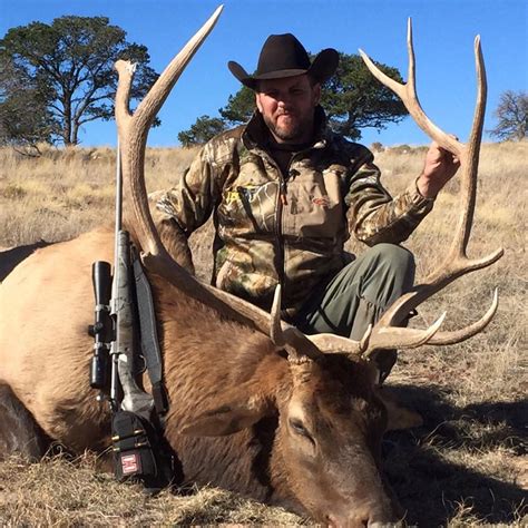 Affordable Fully Guided New Mexico Elk Hunts Thedraw