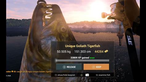 Fishing Planet Top 20 Unique Goliath Tigerfish Congo River Youtube