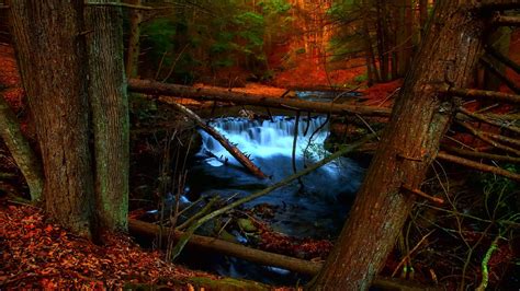 Waterfall And Creek In Autumn Woods