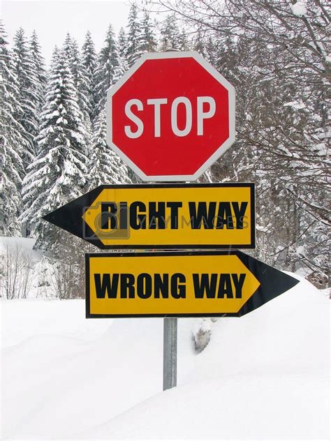 Right And Wrong Way Road Sign In Nature By Dotshock Vectors