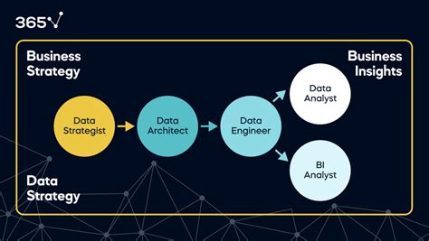 The Types Of Data Science Roles Explained 365 Data Science