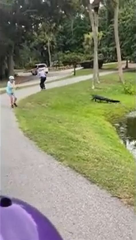 Alligator Kills 69 Year Old South Carolina Woman As She Walked Her Dog