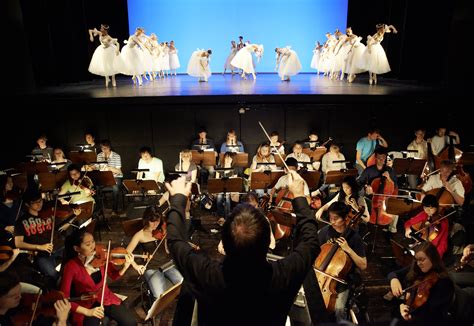 Address, phone number, university of rostock reviews: Rostock - University of Music and Theatre