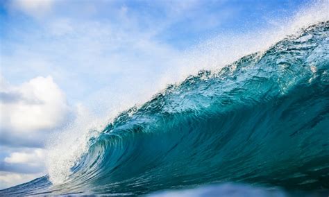 Whither The Blue Wave? - FITSNews