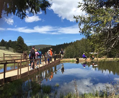 Lake Colorado City State Park Fishing Grover Elkins