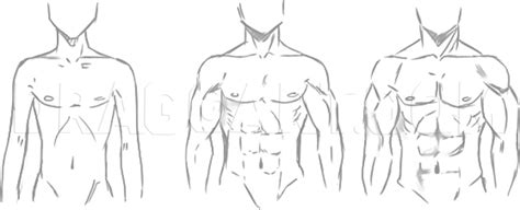 How to draw anime neck & shoulders. How To Draw Manga Males, Draw Anime Males, Step by Step, Drawing Guide, by Ghostiy | dragoart.com