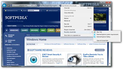 2008 Internet Explorer Download Dastwalker