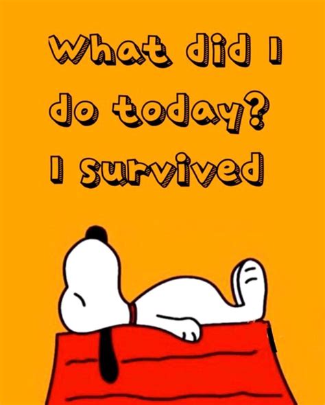 Snoopy Funny Quotes Funny Memes