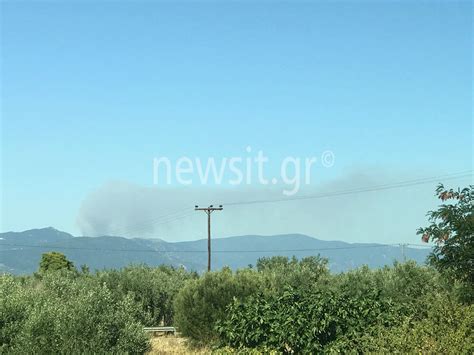Jun 15, 2021 · εύβοια: Εύβοια: Φωτιά στην Καστανιώτισσα Ιστιαίας - Ειδήσεις