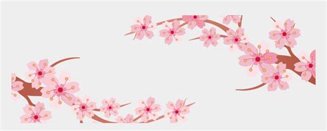 Cherry Blossom Svg Free - Cherry Blossom Flower Banner, Cliparts