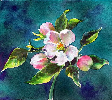 Robin Swaby Fine Artist Apple Blossom Two Ways