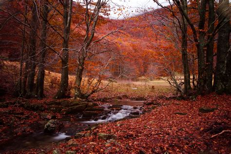 Seasons Autumn Stream Nature Wallpapers Hd Desktop And Mobile
