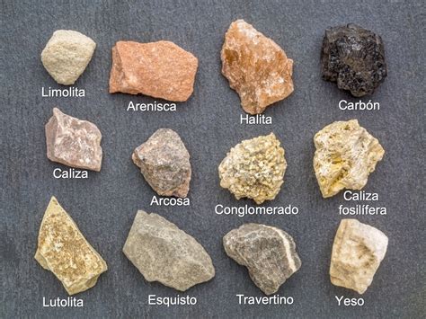 Tipos de rocas ígneas sedimentarias y metamórficas con ejemplos Diferenciador