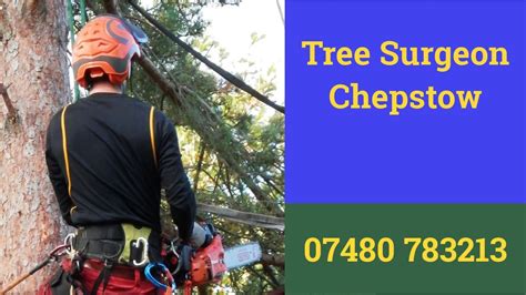 Tree Surgeon Chepstow Tree Removal Root And Stump Removal Tree Felling