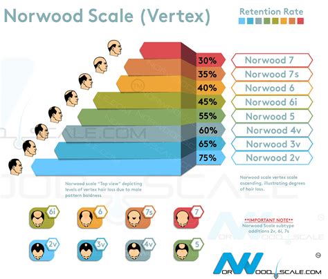 The Norwood Scale of Vertex Male Pattern Baldness
