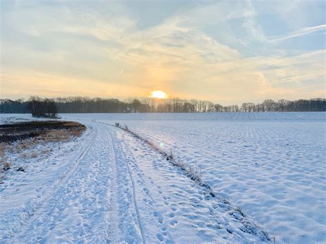 Free Images Winter Morning Snow Holland Sunset Sky Freezing