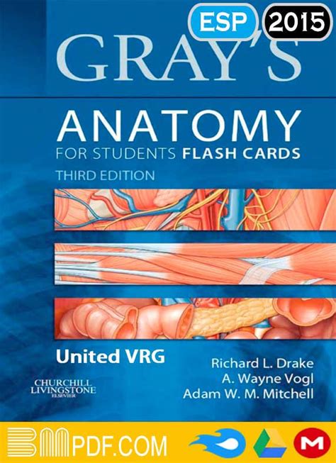 A medical based drama centered around meredith grey, an aspiring surgeon and daughter of one of the best surgeons, dr. Gray's anatomy for students flash cards 3rd edition PDF