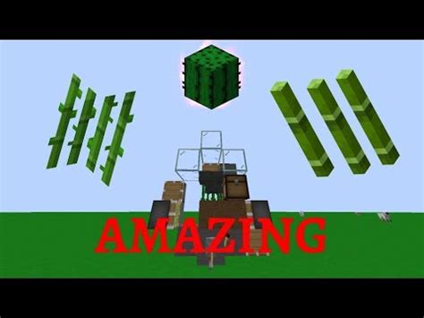 You want a zero tick bamboo and zero tick cactus farm to use in an xp bank/xp farm with a world download? *IMPROVED* 0-TICK SUGARCANE, BAMBOO, AND CACTUS FARM ...
