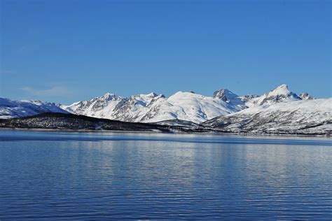 Zdjęcia Tromsø Troms Poranny Błękit Norwegia