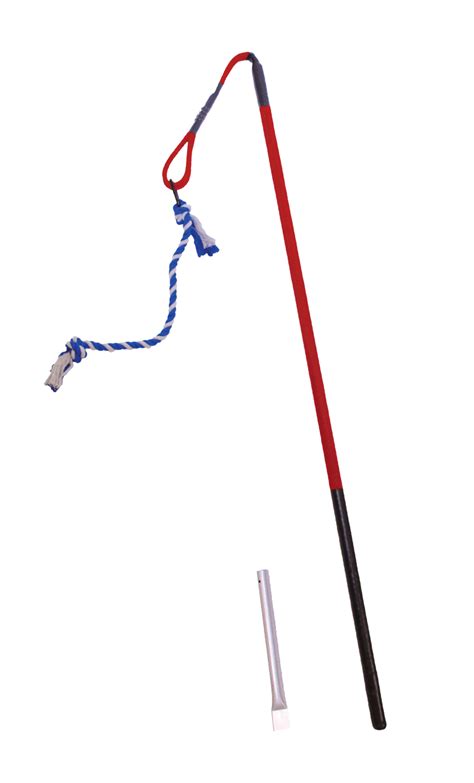Big Tether Tug 70 Lb Outdoor Dog Toys Dogs Diy Projects Dog Tether