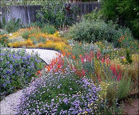 Colorado Native Plants For Landscaping Home And Garden