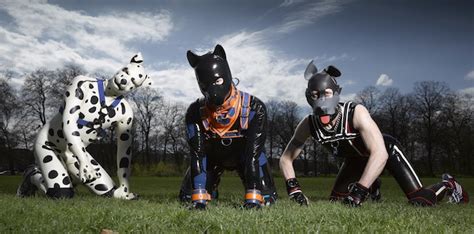 Catch Up Tv Reviews Secret Life Of The Human Pups How To Get A Council House Magnifica