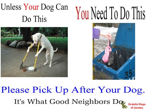 Pick Up After Your Dog
