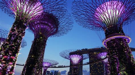 Singapore Attraction Ticket: Gardens by the Bay + Alive Museum