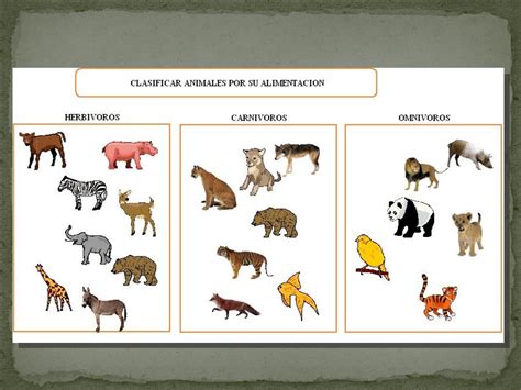 Clasificación De Animales Según Su Alimentación Quizizz