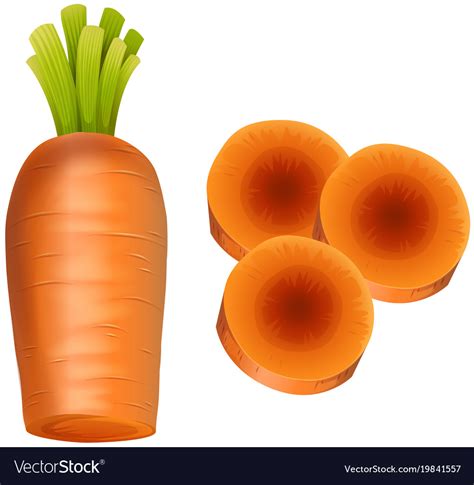 Fresh Carrot Slices On White Background Royalty Free Vector