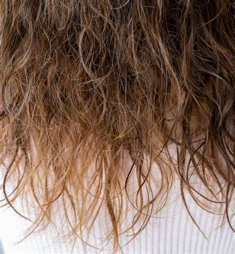 How To Fix Damaged Hair 11 Secrets Stylists Swear By