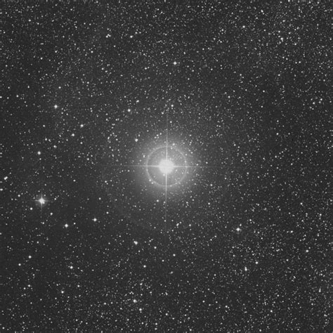 η Cygni Eta Cygni Star In Cygnus