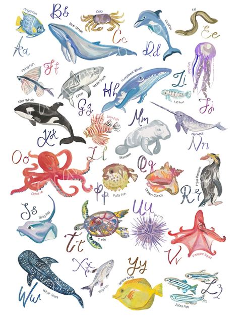 Sea Animals Alphabet Print A Z Sea Creatures Nursery Art Etsy Uk
