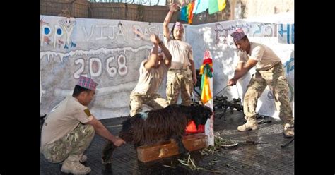 Maneka gandhi, new delhi, india. Maneka Gandhi has a point: Indian Army's animal practices ...