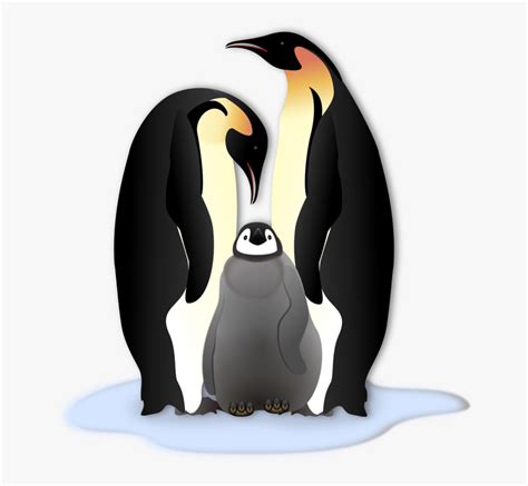 Emperor Penguin Clip Art Free Transparent Clipart Clipartkey