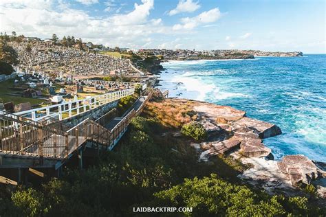 Bondi To Coogee Sydneys Best Coastal Walk — Laidback Trip