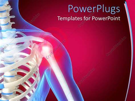 Powerpoint Template Skeleton Showing The Anatomy Of
