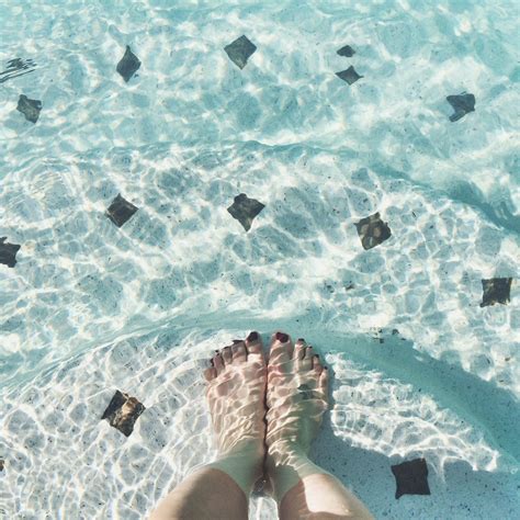 Dive head first into spring break and cool off in the pool. | Spring