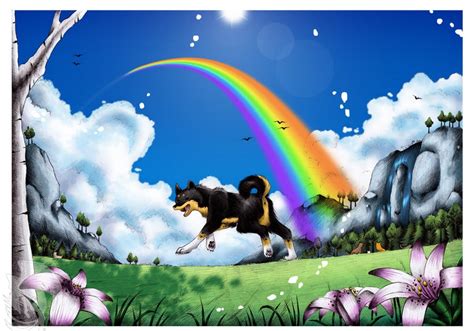 The Teachers Pets What Does Rainbow Bridge Mean To You And Your Pets