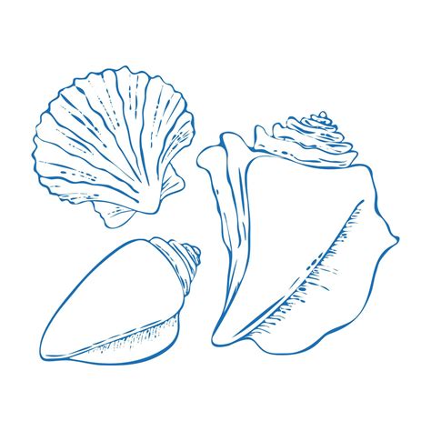 Set Of Vector Seashells In Doodle Style Hand Drawn Dark Outline