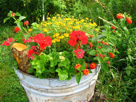 Plant Combinations In Containers For 2008