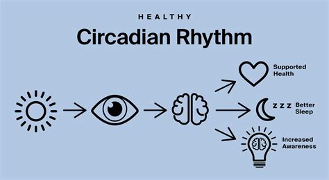 Circadian Rhythm Lighting Systems Shelly Lighting